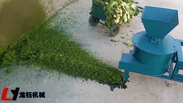 白菜打浆机工作视频实拍视频封面