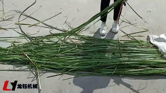 皇竹草粉碎机工作视频实拍视频封面