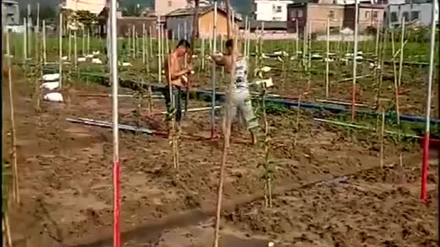 小型打桩机工作视频实拍视频封面