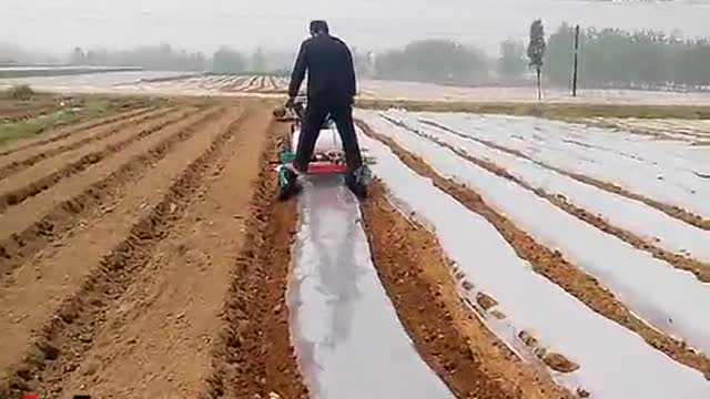 小型地膜机工作视频实拍视频封面