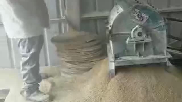豆饼粉碎机工作视频实拍视频封面