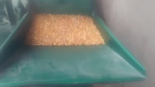 锤片式玉米粉碎机工作视频实拍视频封面