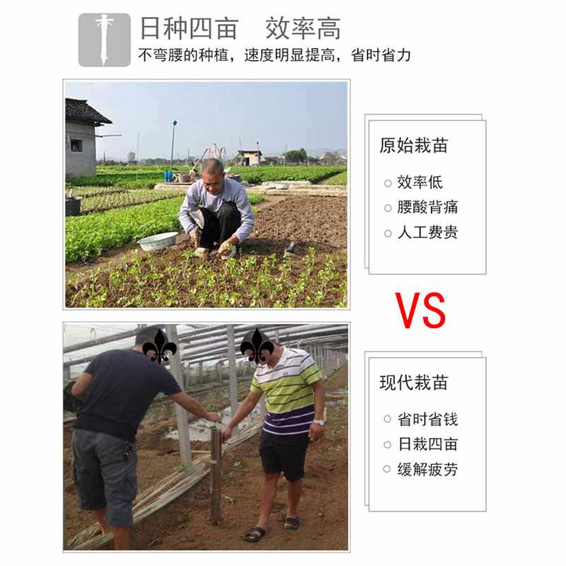 栽苗器