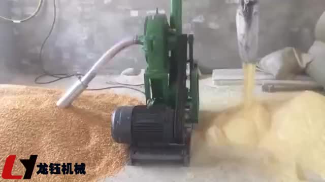 玉米粉碎机工作视频实拍视频封面